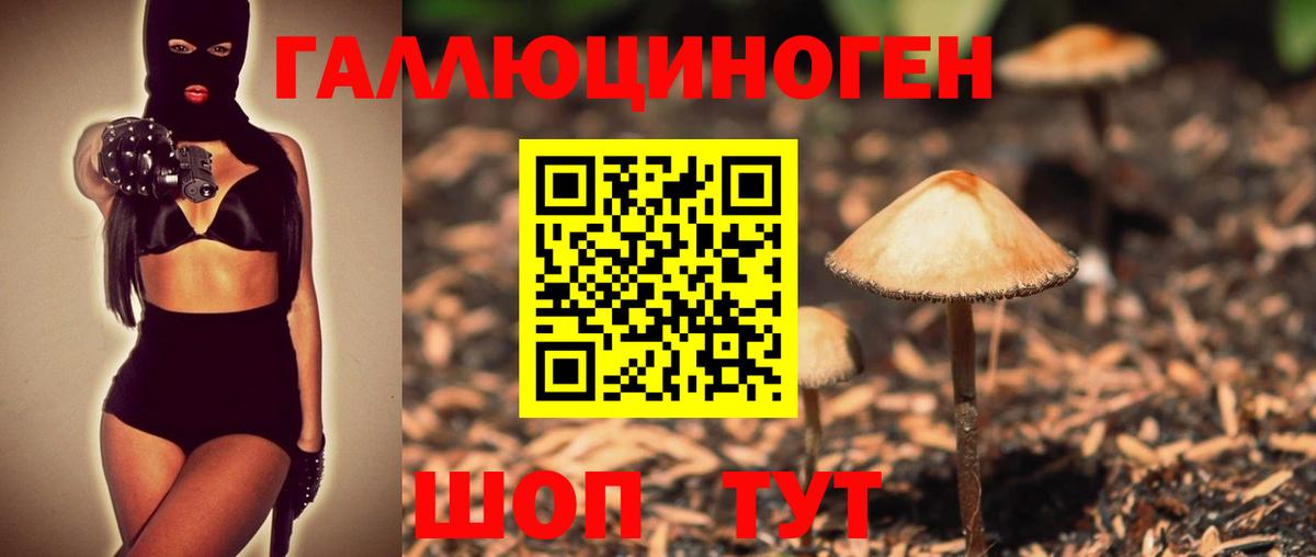 Псилоцибиновые грибы Cubensis  Вход с VPN  Улан-Удэ 